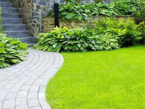 Landscaping Landscaping